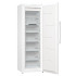 Вертикальна морозильна камера Gorenje FN61CSY2W