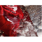 Прально-сушильна машина WTD 163 WCS