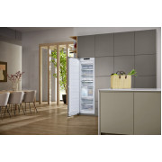 Вбудовуваний морозильник з ActiveDoor, IceMaker Miele FNS 7794 D L